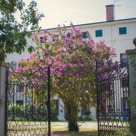 Отель Carrer 3*