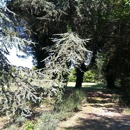 Отель Carrer